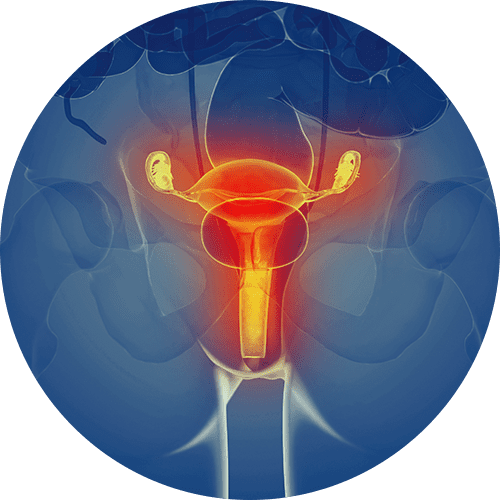 Urologo en Mexico especialista en Infecciones Urinarias v001